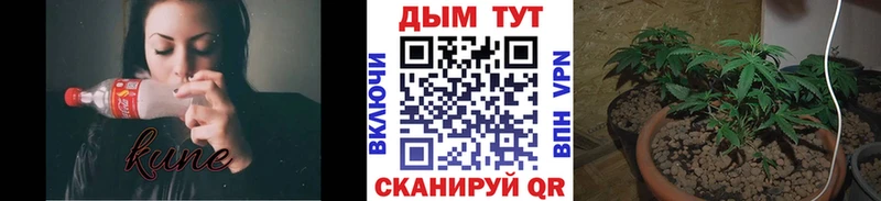 Бошки Шишки марихуана Ипатово